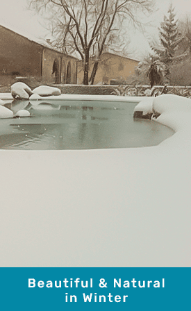 A biodesign pool in winter