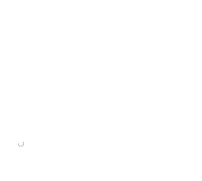 Biodesign USA | Sculpted Pools Logo