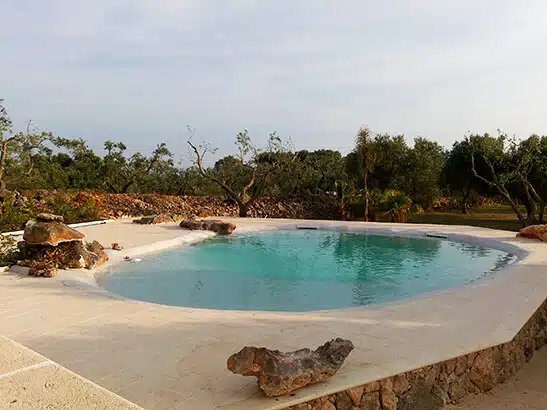 A small-scale Biodesign pool