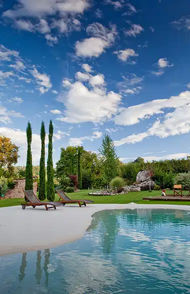 Backyard scene with shimmering beach entry Biodesign pool